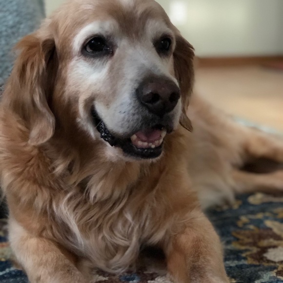 Meet your Posher, Kevin - Picture 1 of 1